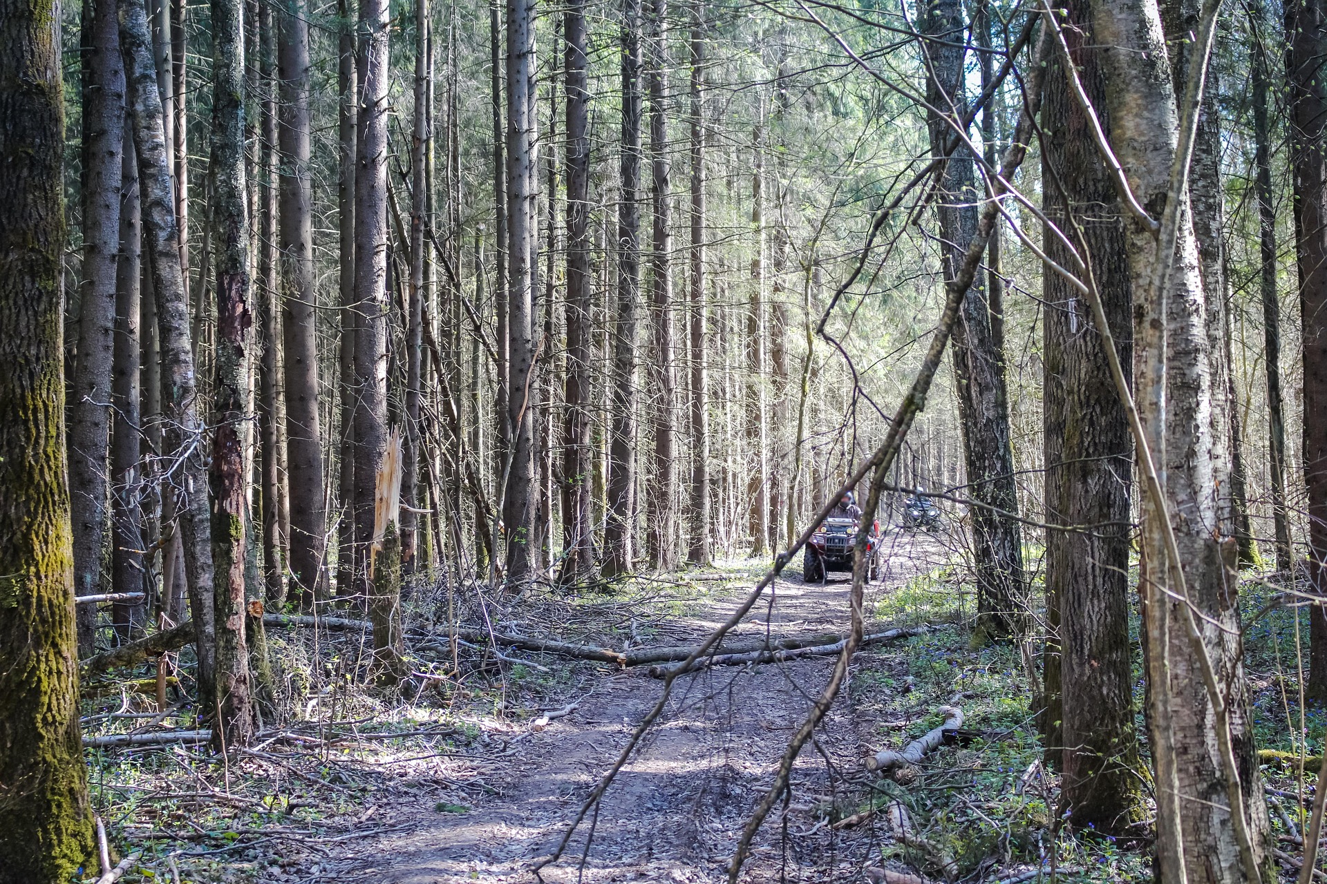 ATV on a rugged trail through the woods