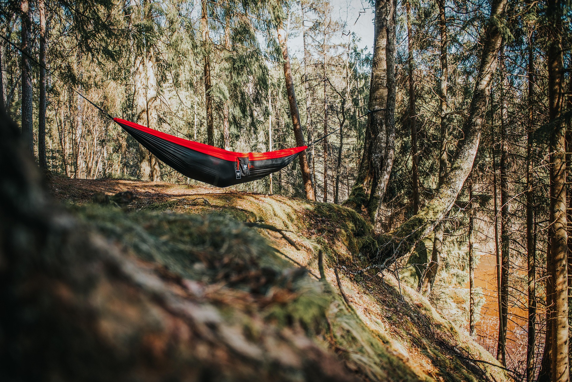 Hammock camping setup in the wilderness among the trees